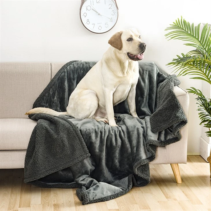 Pet Throw Filt