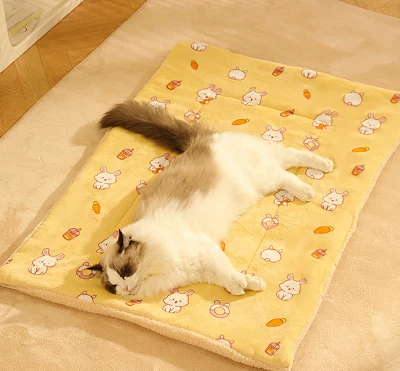 Soft And Fluffy Pet Blanket