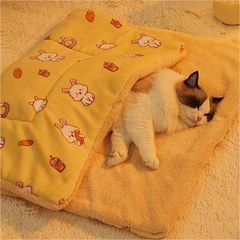 1710911457322 1710911457322